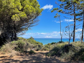 marina di bravone 185 vue mer